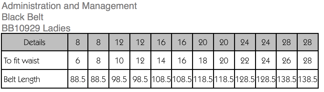 Ladies Slimline Belt