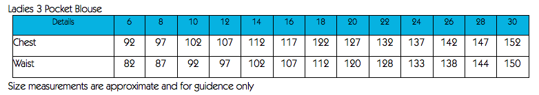 Sky Stripe 3 Pocket Open Neck Short Sleeve Blouse