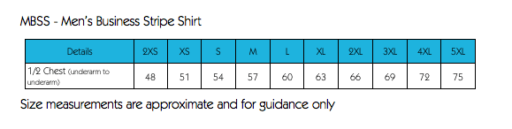 Short Sleeve Navy Stripe Shirt